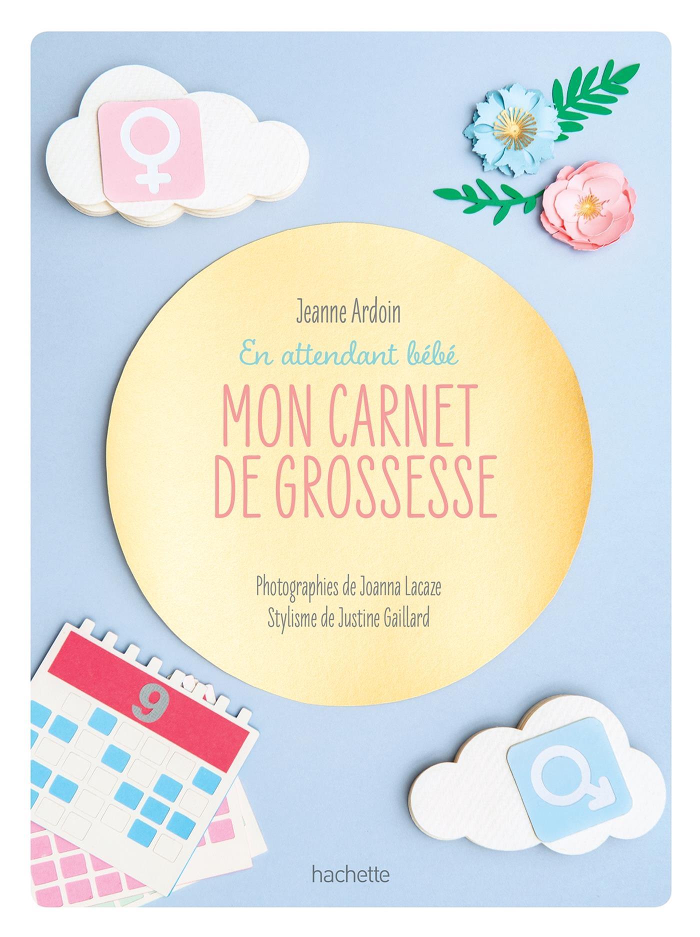 Livre Mon Carnet De Grossesse En Attendant Bebe Messageries Adp