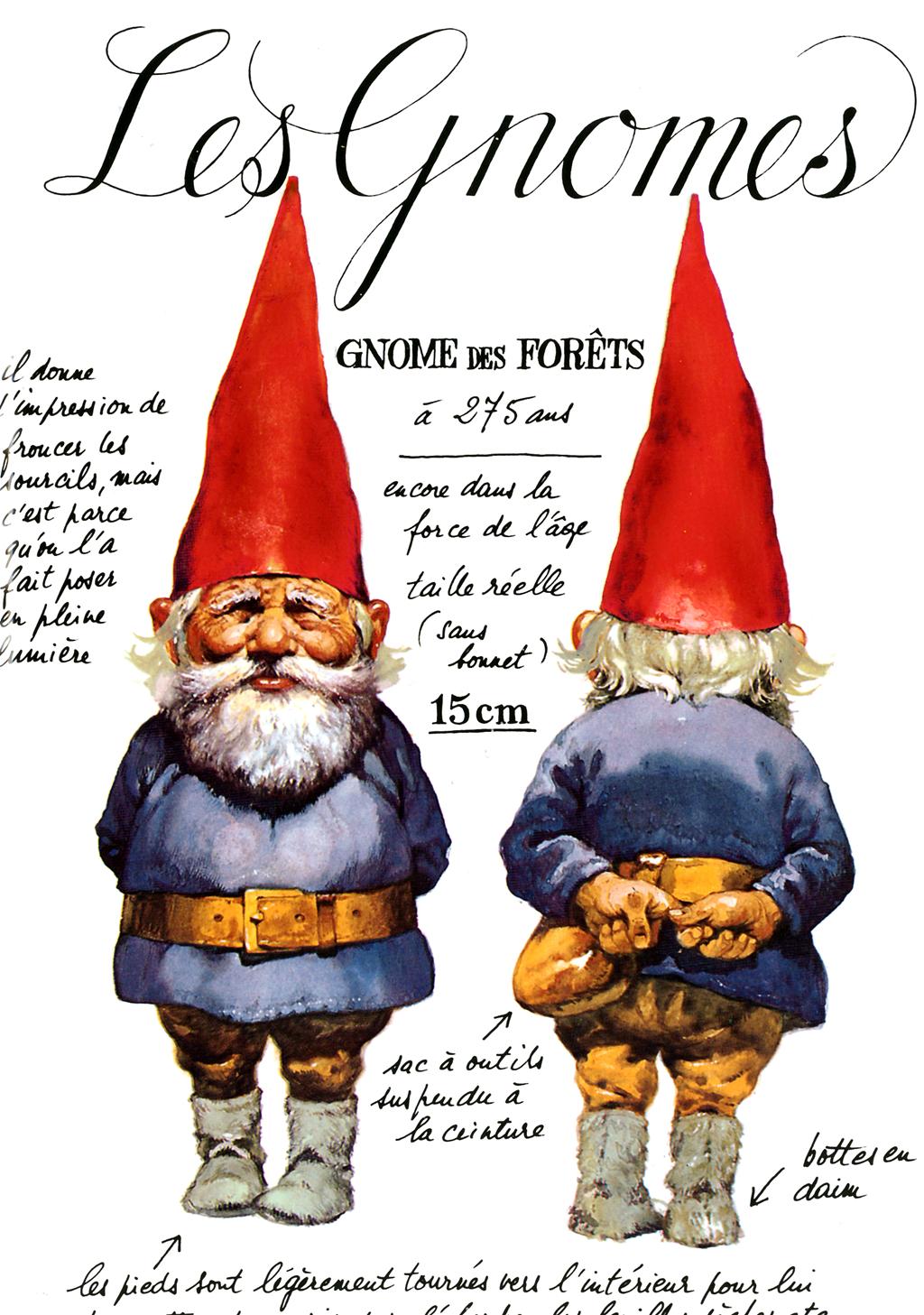gnomes by wil huygen