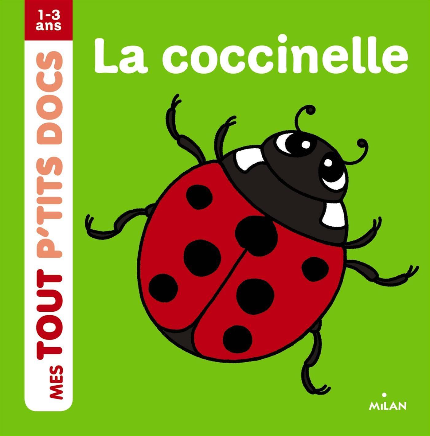 Livre COCCINELLE LA 1 3 ANS Messageries ADP