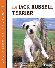 Le Jack Russell terrier