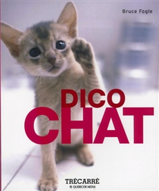 Dico chat