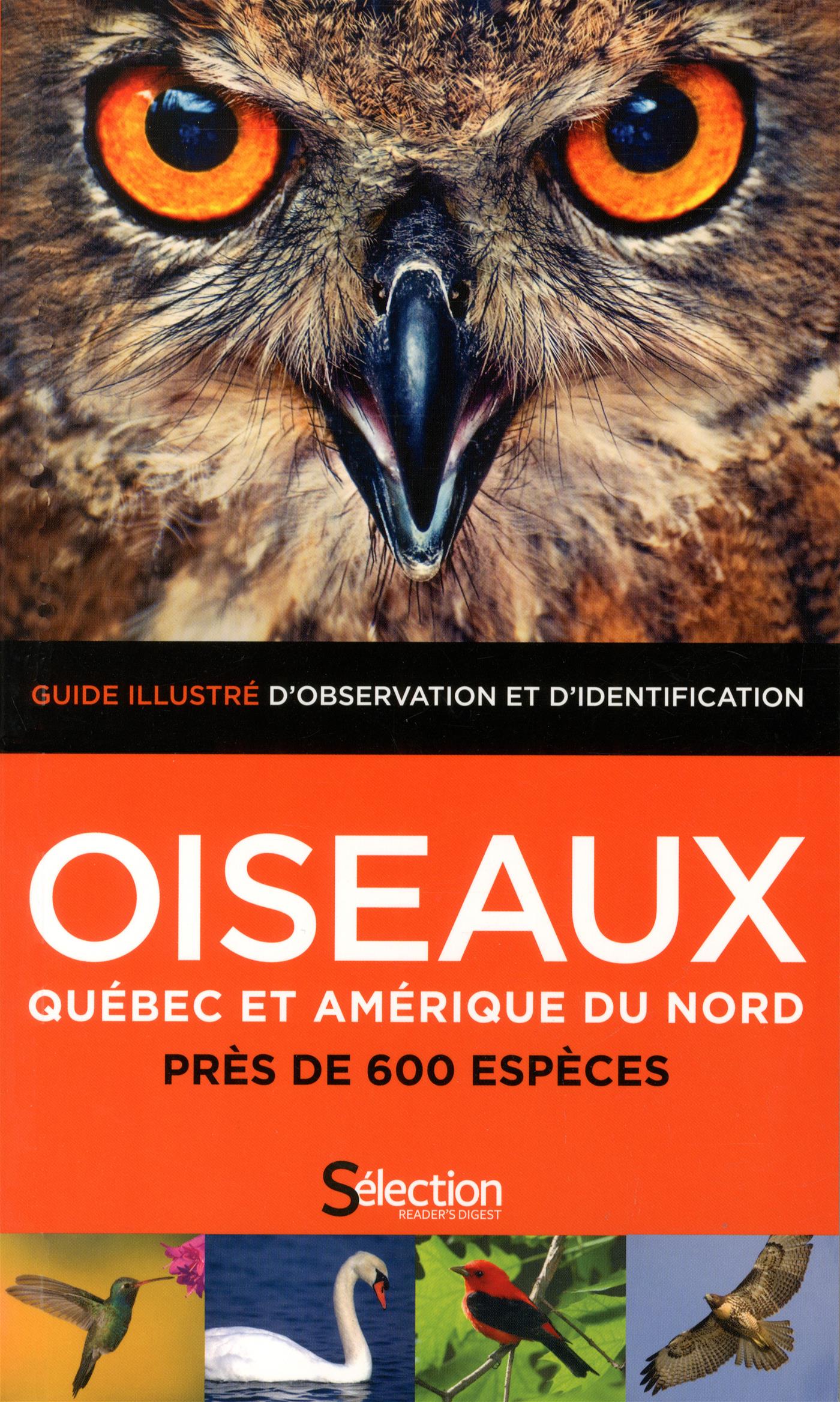 Livre Oiseaux, Québec Et Amérique Du Nord - Près De 600 Espèces • Guide ...